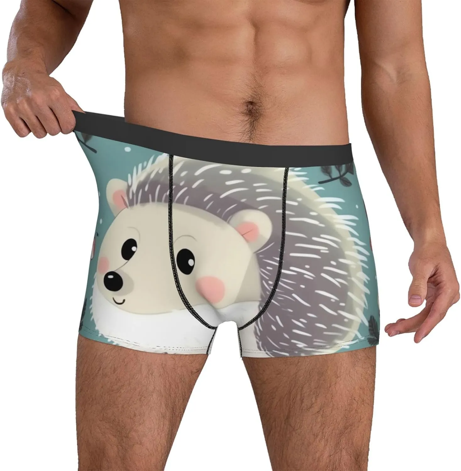 Men's Underwear Cute cartoon hedgehog Boxer Briefs Breathable Stretch Mens Boxer Moisture-Wicking Trunks for Men