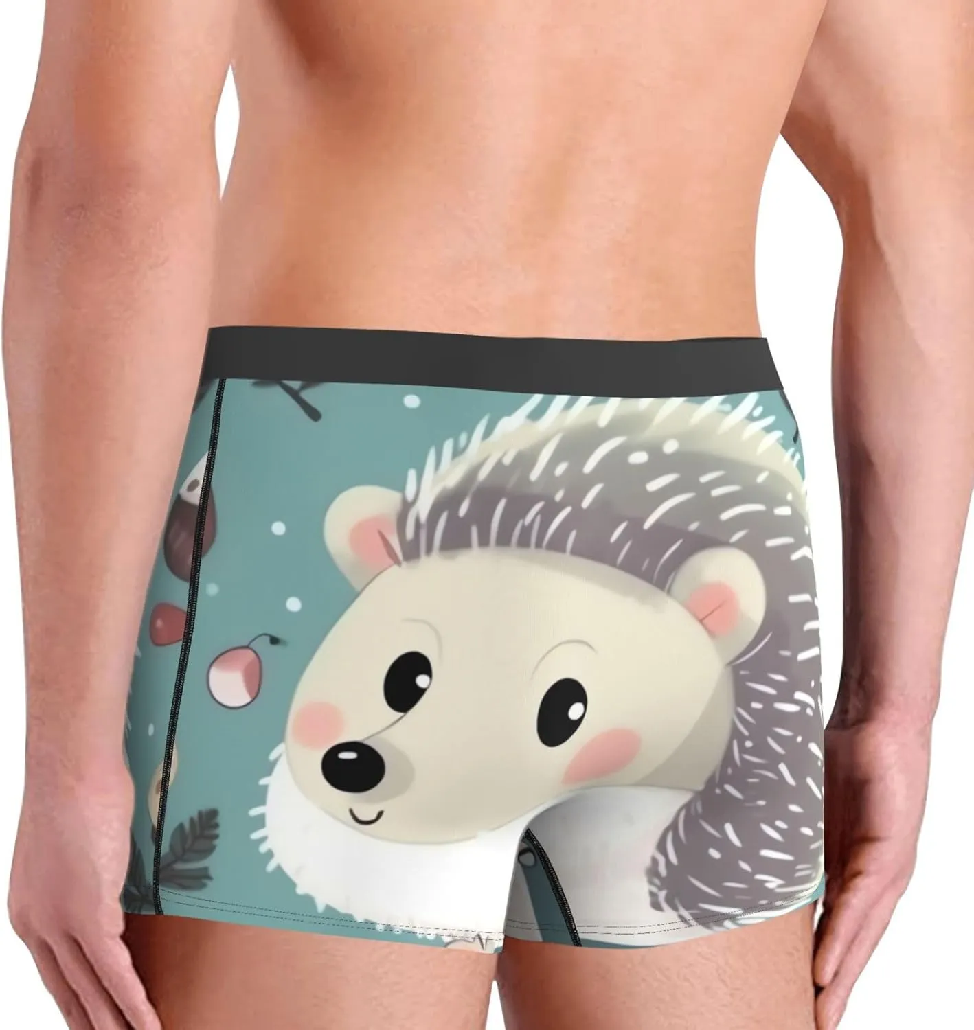 Men's Underwear Cute cartoon hedgehog Boxer Briefs Breathable Stretch Mens Boxer Moisture-Wicking Trunks for Men