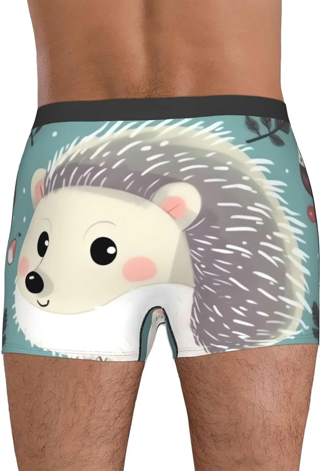 Men's Underwear Cute cartoon hedgehog Boxer Briefs Breathable Stretch Mens Boxer Moisture-Wicking Trunks for Men