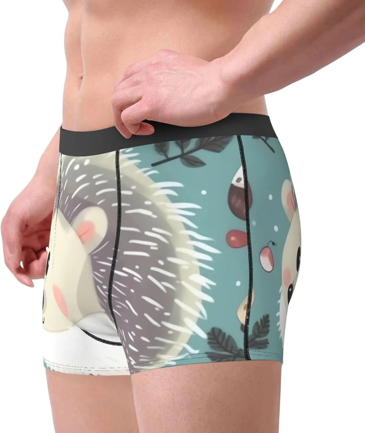 Men's Underwear Cute cartoon hedgehog Boxer Briefs Breathable Stretch Mens Boxer Moisture-Wicking Trunks for Men