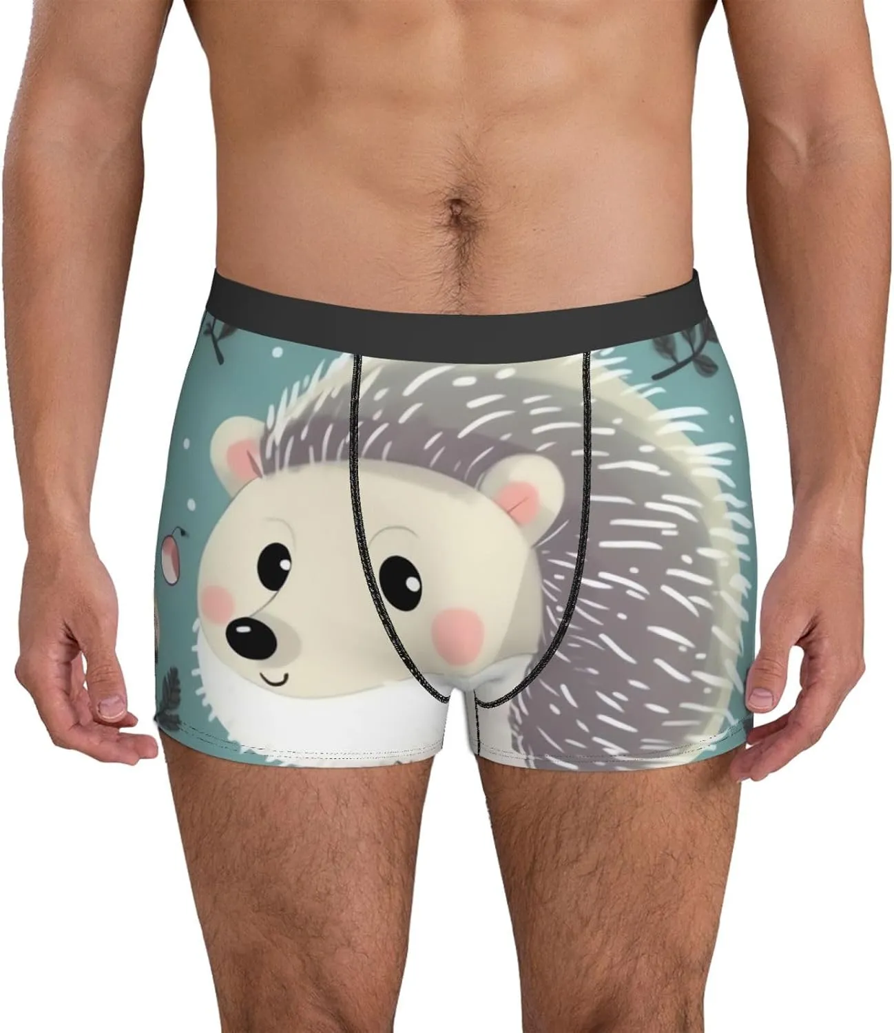 Men's Underwear Cute cartoon hedgehog Boxer Briefs Breathable Stretch Mens Boxer Moisture-Wicking Trunks for Men