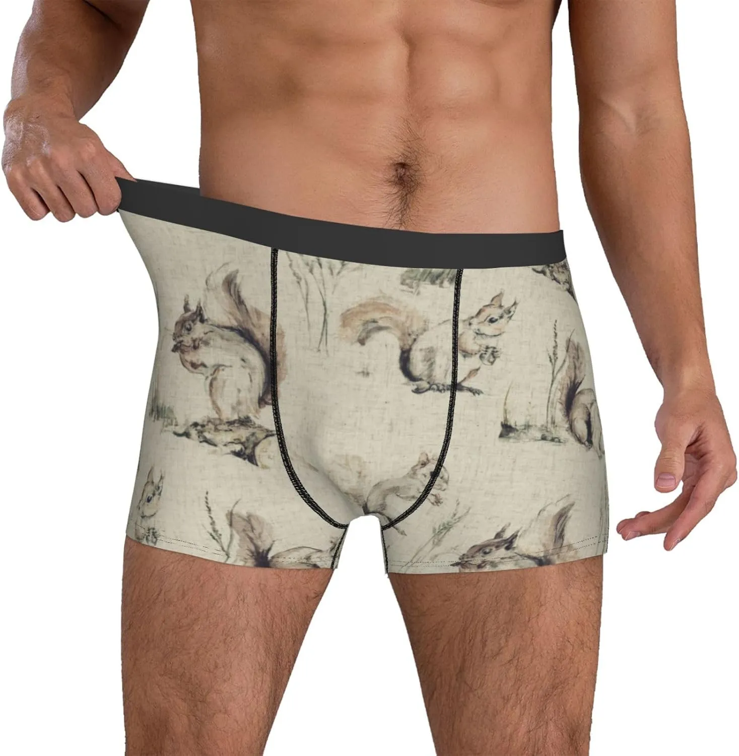 Men's Underwear Squirrels background Boxer Briefs Breathable Stretch Mens Boxer Moisture-Wicking Trunks for Men