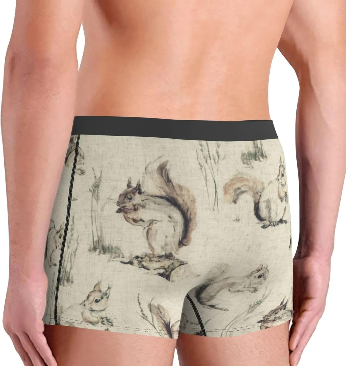 Men's Underwear Squirrels background Boxer Briefs Breathable Stretch Mens Boxer Moisture-Wicking Trunks for Men
