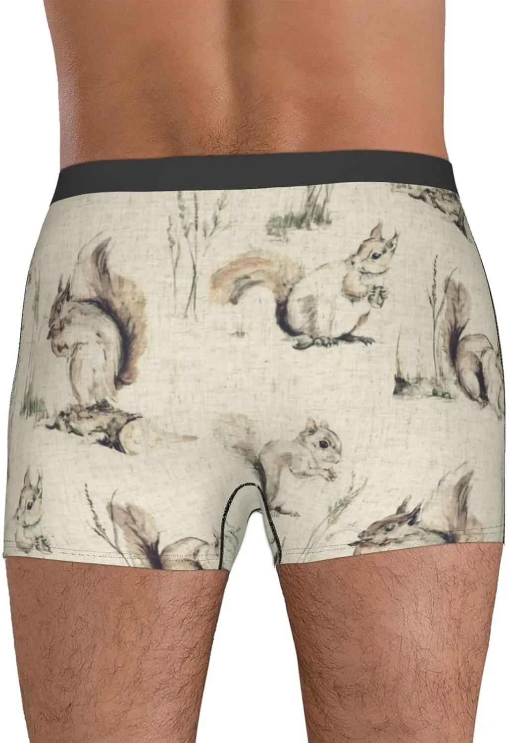 Men's Underwear Squirrels background Boxer Briefs Breathable Stretch Mens Boxer Moisture-Wicking Trunks for Men